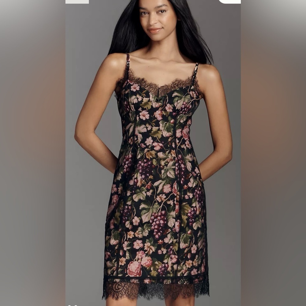 NWT Maeve Anthropologie Floral Fruit Mesh Slip Dress Medium